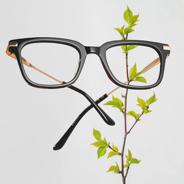 Dasan frame created by George Jones